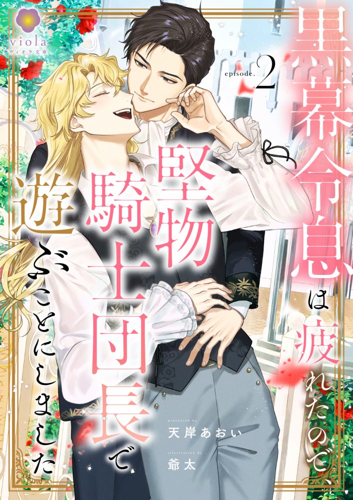 黒幕令息は疲れたので、堅物騎士団長で遊ぶことにしました２